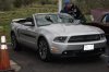 Mustang Sally II.jpg
