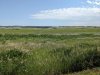 PXL_20240617_223313461.jpg