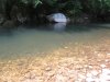 IMG_3293_1.JPG