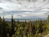 PXL_20240620_234147527~2.jpg