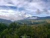 20201026_090959.jpg