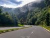 20201026_091241.jpg