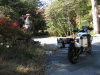 IMG_3480 - Copy.JPG