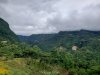 20201029_144900.jpg