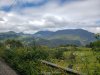 20201030_132607.jpg