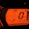 IMG_2064.jpeg