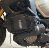 IMG_7395.jpeg