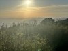 IMG_6735.jpeg