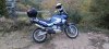 IMG_20231024_173757.jpg