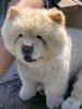IMG_3519.JPEG